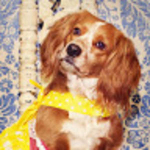 Meet your Posher, Jill